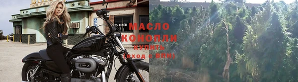 Альфа ПВП Ельня
