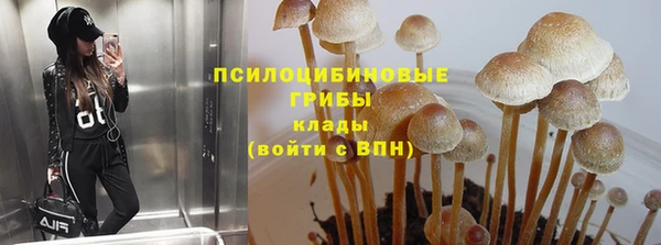 соль ск Пенза