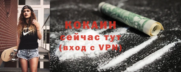 Альфа ПВП Ельня
