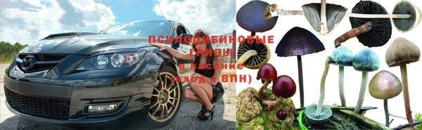PSILOCYBIN Елабуга