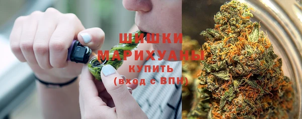PSILOCYBIN Елабуга