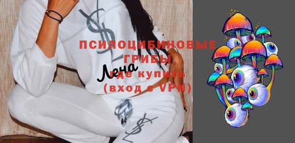 PSILOCYBIN Елабуга