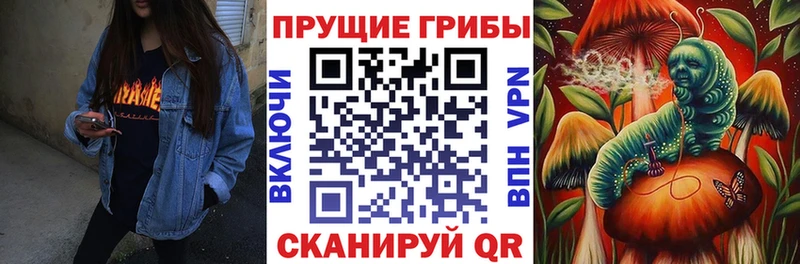 кракен рабочий сайт  Дмитриев  Галлюциногенные грибы ЛСД  где купить  