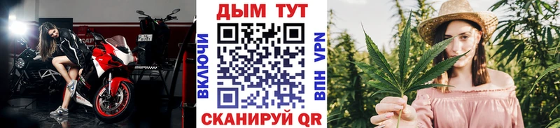 Марихуана OG Kush Дмитриев
